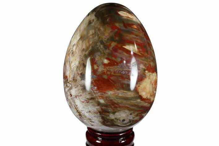 Colorful, Polished Petrified Wood Egg - Triassic #111033